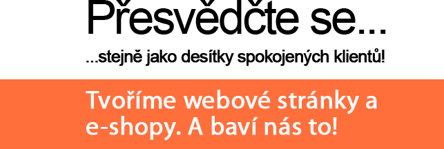 Tvorba WWW stránek, webdesign a SEO